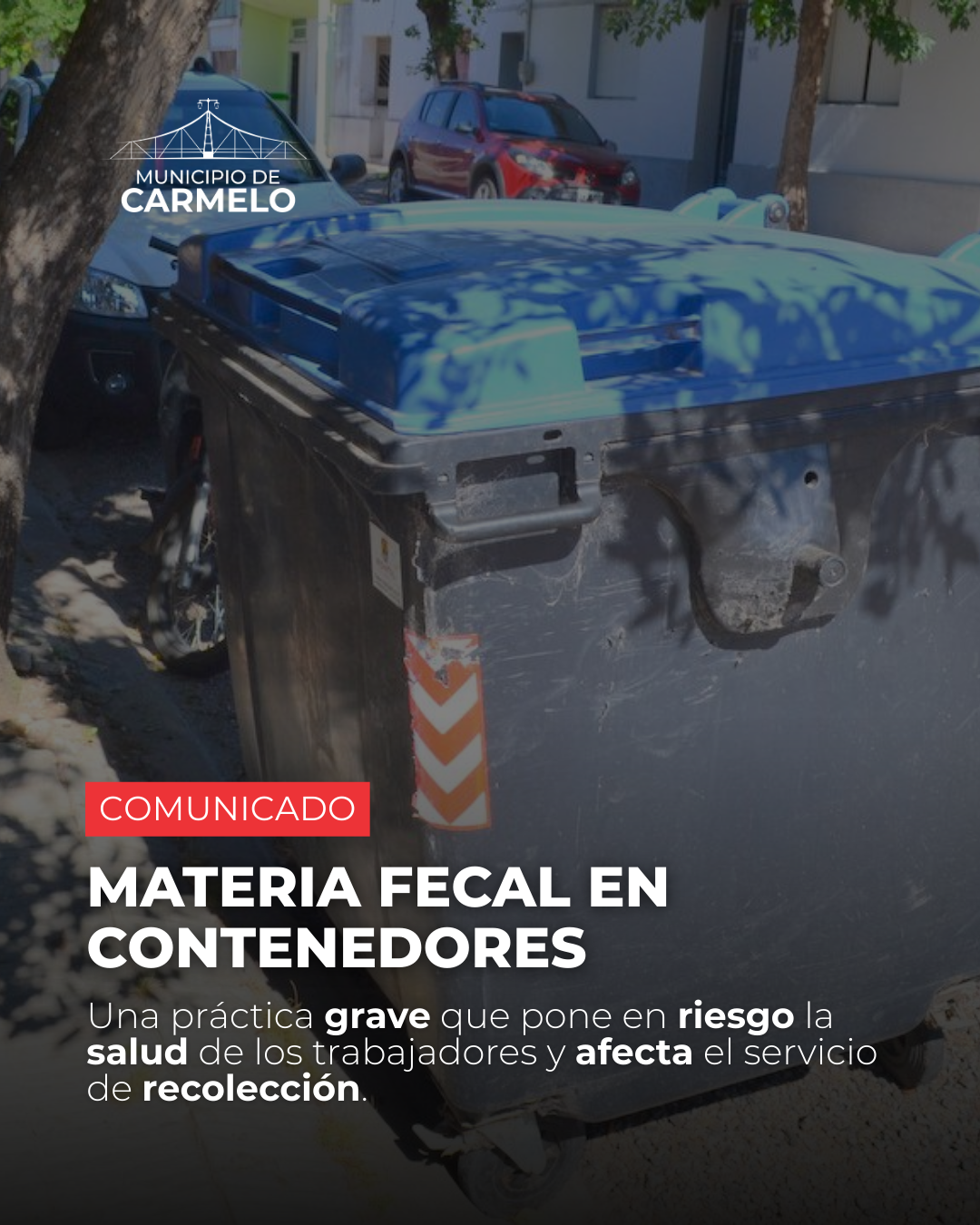 COMUNICADO DEL MUNICIPIO DE CARMELO: Arrojar materia fecal en los contenedores de residuos está prohibido