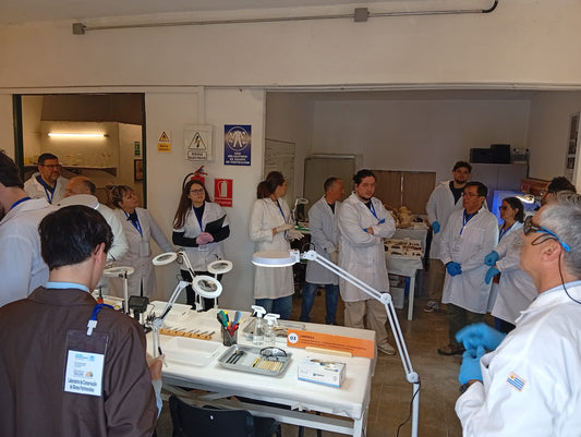 SE LLEVA ADELANTE LA SEGUNDA EDICIÓN DE LA CAPACITACIÓN EN CONSERVACIÓN DE COLECCIONES ARQUEOLÓGICAS E HISTÓRICAS METÁLICAS