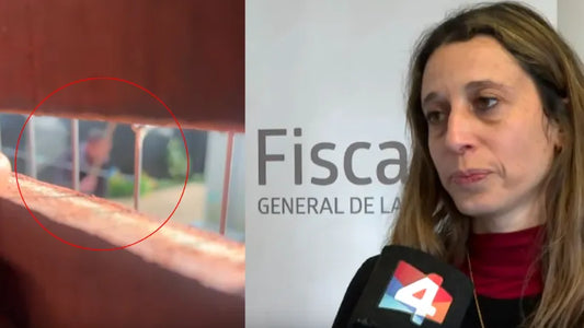 "INGENIERÍA JURÍDICA": CÓMO UNA FISCAL LOGRÓ IMPUTAR PENALMENTE A UN HOMBRE QUE MATÓ UN GATO A GOLPES