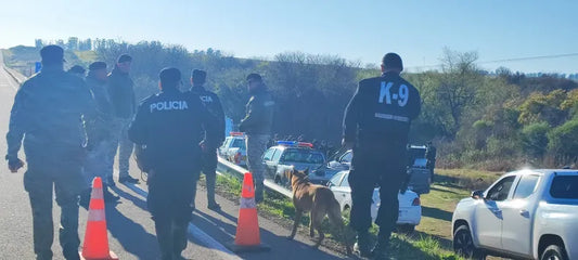 TRAGEDIA: ANDRÉS MOROSONI Y SUS HIJOS ALFONSINA Y FRANCISCO FUERON ENCONTRADOS SIN VIDA