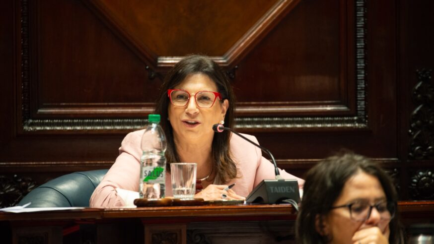 LA SENADORA DEL FRENTE AMPLIO, BLANCA RODRÍGUEZ, DIJO QUE YA NO VE PERSONAS EN SITUACIÓN DE CALLE DESDE SU VENTANA