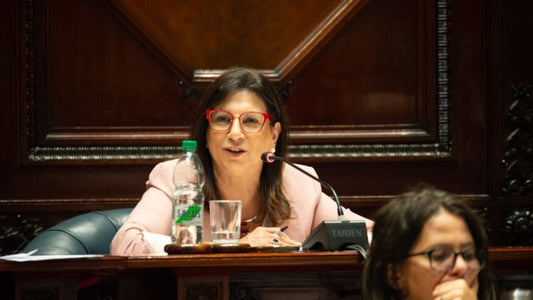 LA SENADORA DEL FRENTE AMPLIO, BLANCA RODRÍGUEZ, DIJO QUE YA NO VE PERSONAS EN SITUACIÓN DE CALLE DESDE SU VENTANA