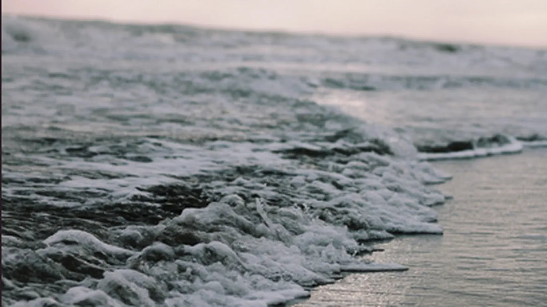 COLONIA:  ACTUALIZACIÓN DEL ESTADO SANITARIO DE LAS PLAYAS