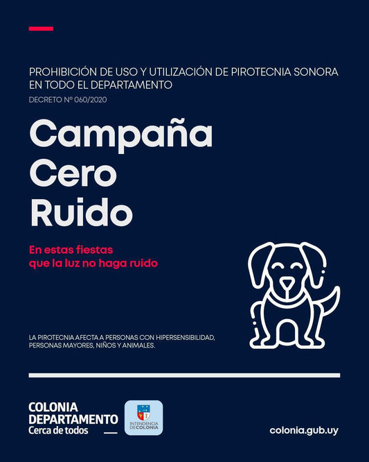 CAMPAÑA CERO RUIDO #intendenciadecolonia