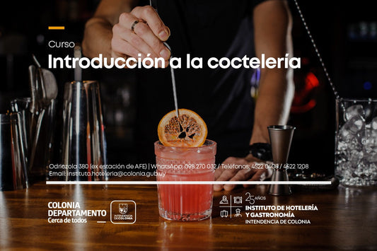 CURSO DE "INTRODUCCIÓN A LA COCTELERÍA"