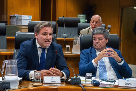 MINISTERIO DE AMBIENTE RETIRARÁ BARCOS VARADOS EN CARMELO Y OSE EVALÚA SITUACIÓN DE BARRIO MARACANÁ