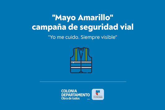 CAMPAÑA DE SEGURIDAD VIAL
