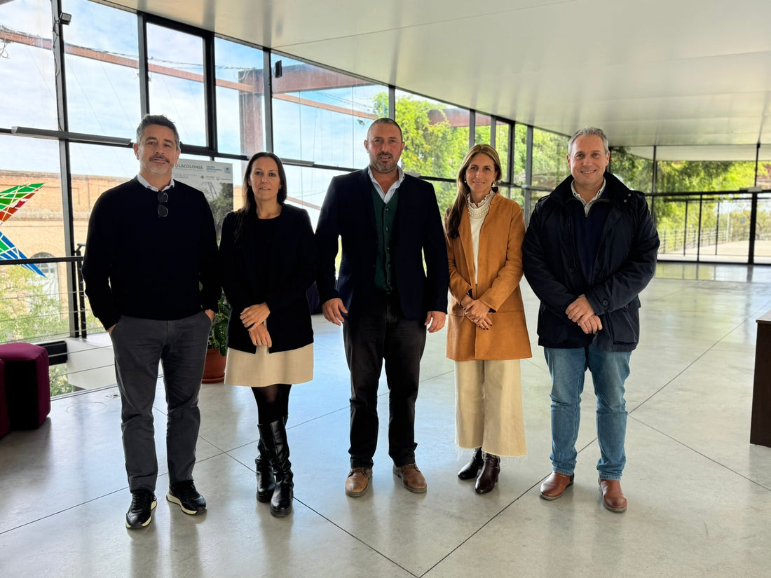 CÁMARA DE COMERCIO Y SERVICIOS DEL URUGUAY VISITÓ COLONIA