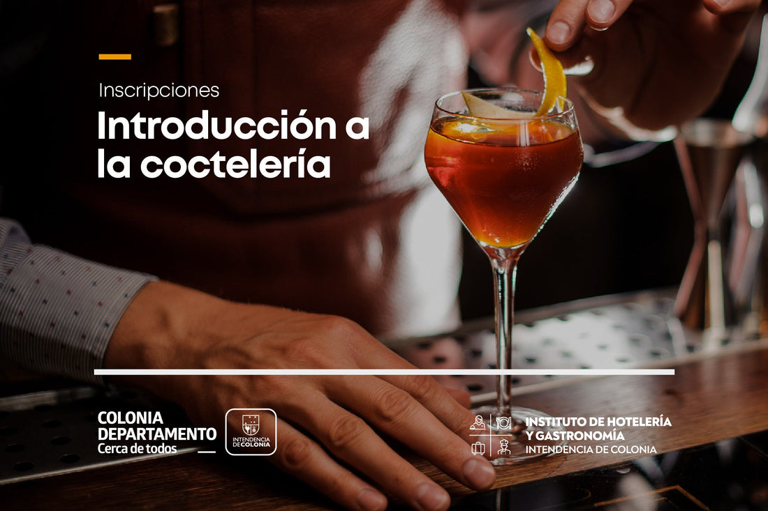 CURSO DE "INTRODUCCIÓN A LA COCTELERÍA"